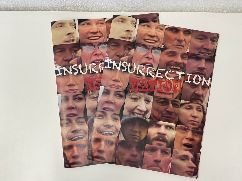 Insurrection Nation
