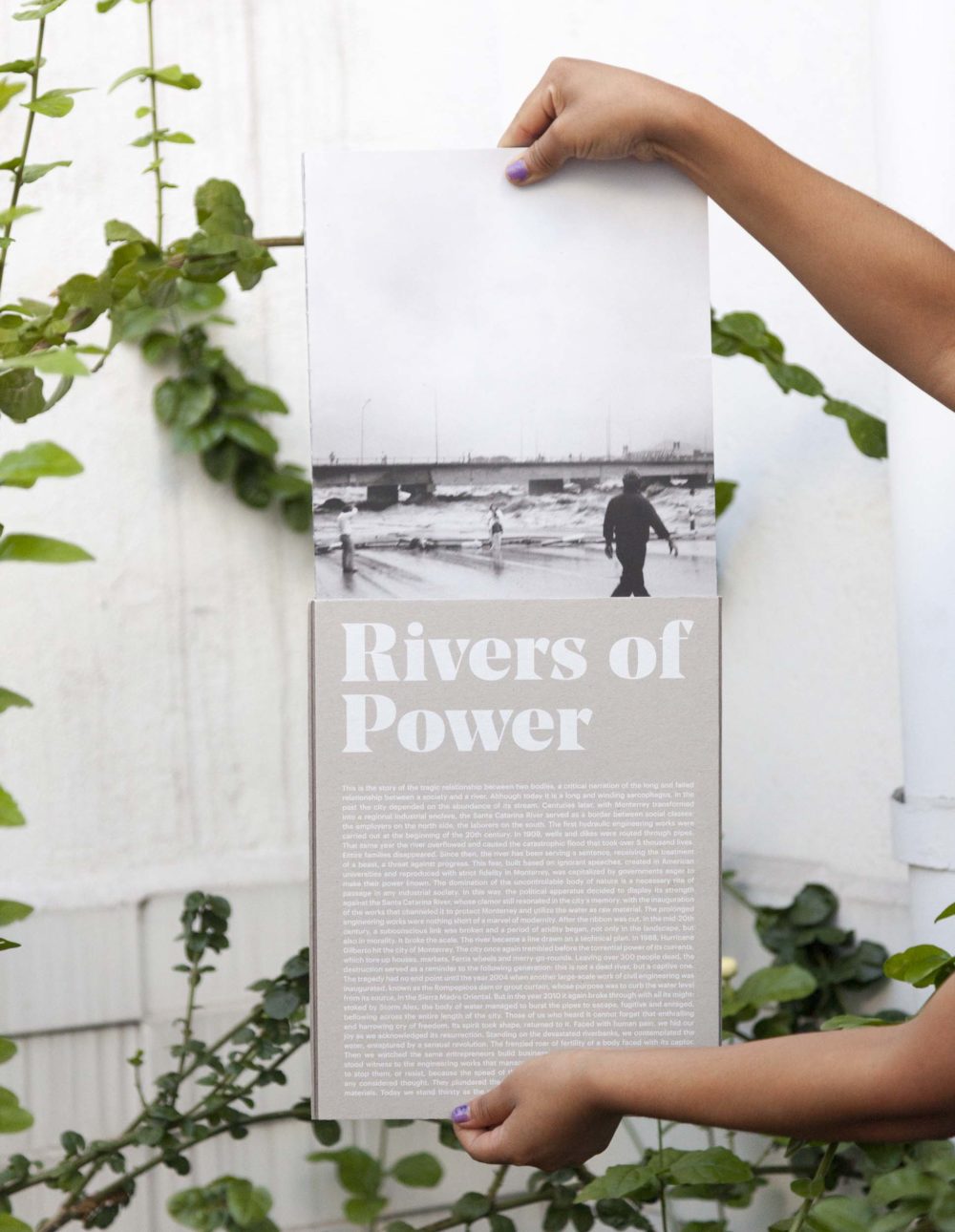 Rivers of Power / Ríos de Poder, Signed