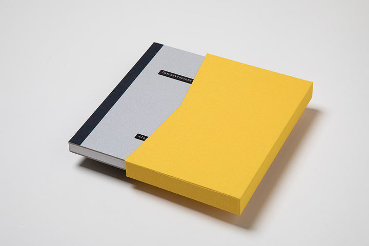 A Guide to Infrastructure and Corruption / Special Edition + Signed prints 1/20